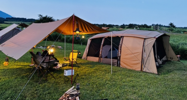 今月の特集・おすすめ